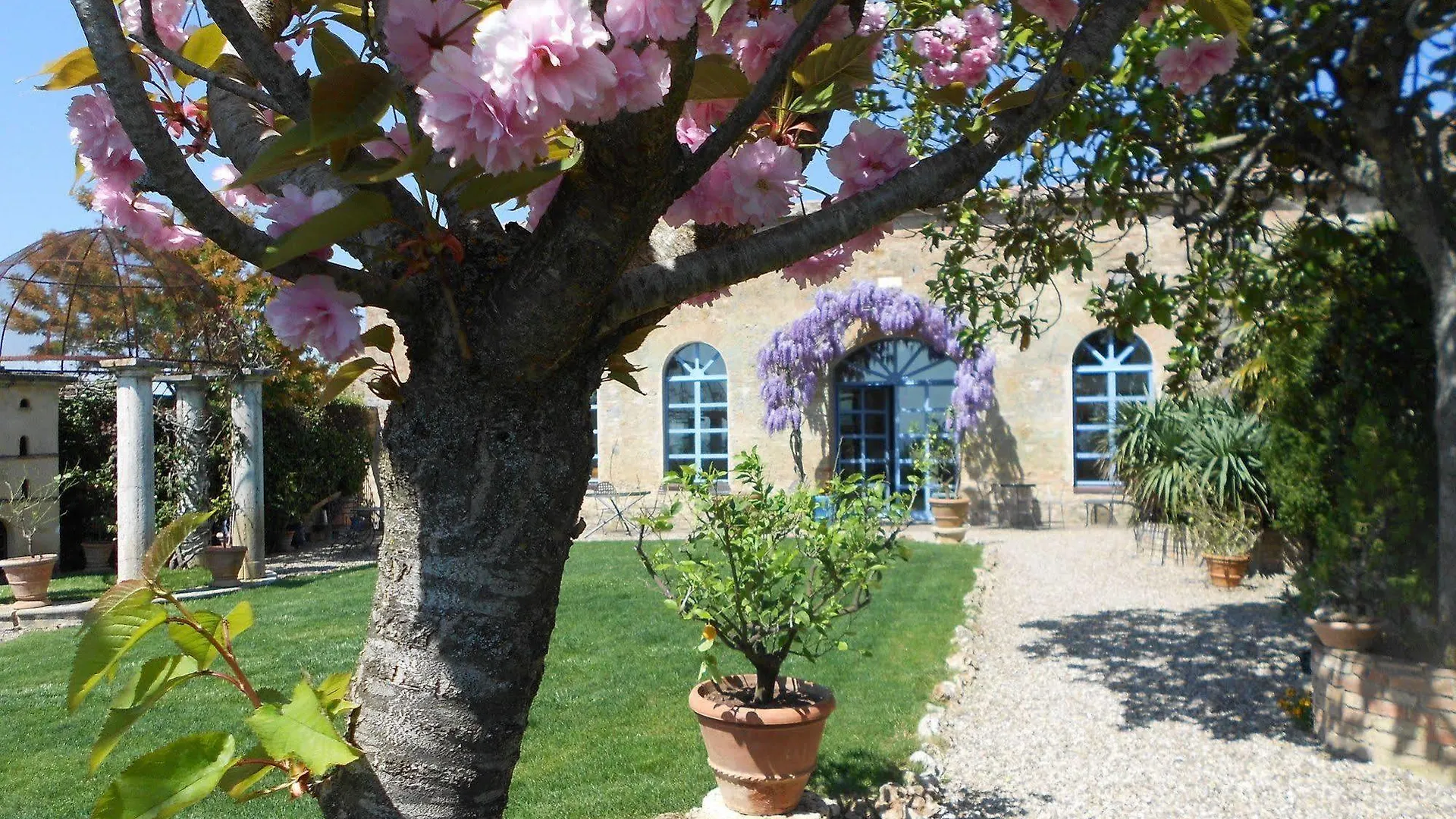 فندق مبيت وإفطار سيينا Frances' Lodge Relais